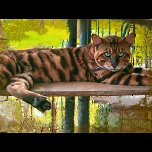 Meet your Posher, Patricia